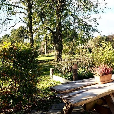 Latterly Rooms Silkeborg Zewnętrze zdjęcie